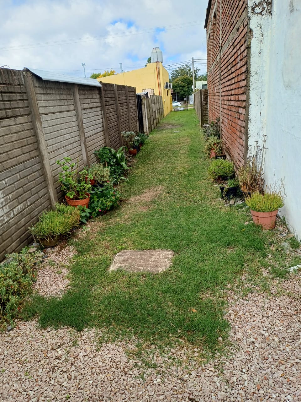 pellegrini-900-tl (1)