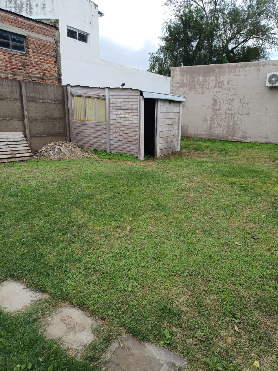 pellegrini-900-tl (2)