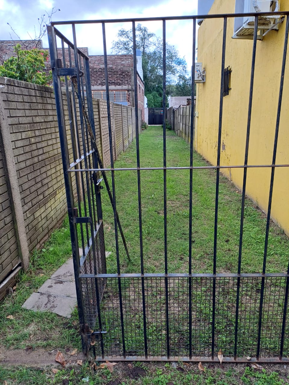 pellegrini-900-tl (6)