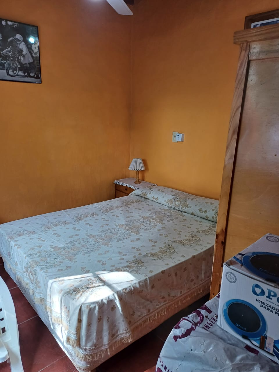 pellegrini-900-tl (9)