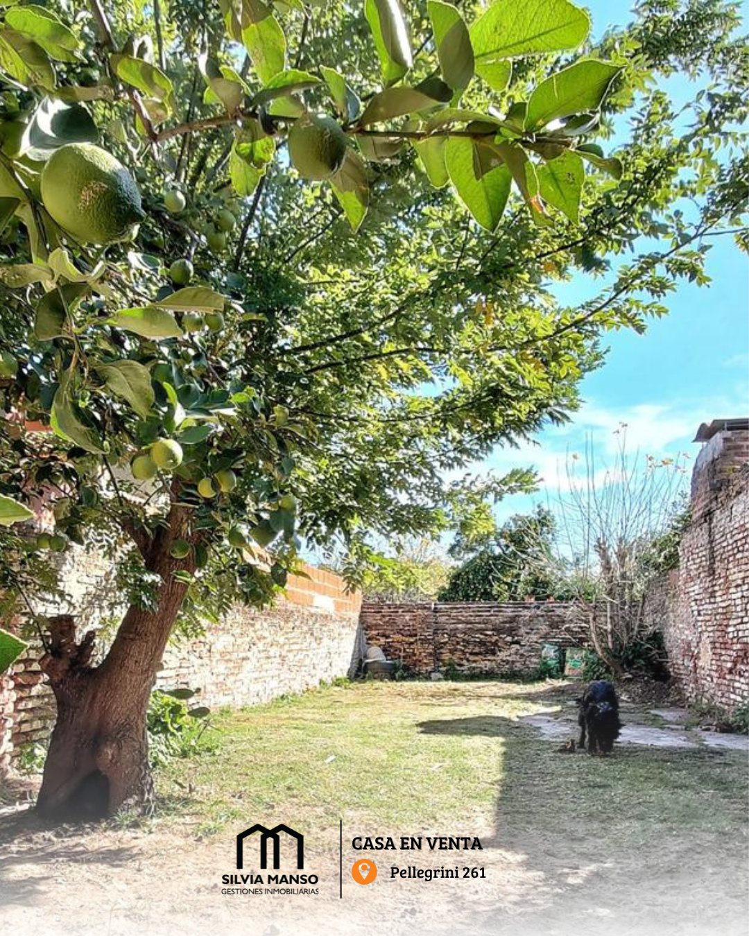 497779430_1009769468000417_7125987017346203232_n