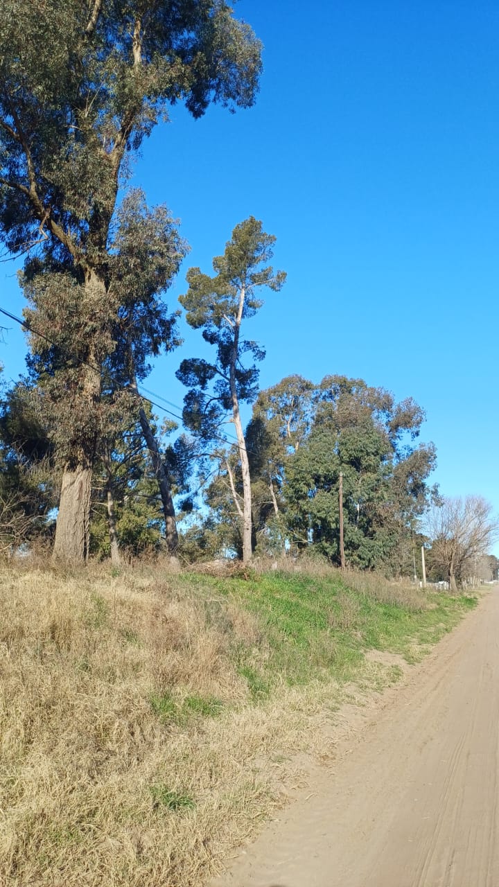 Paul Harris 2468 (1)