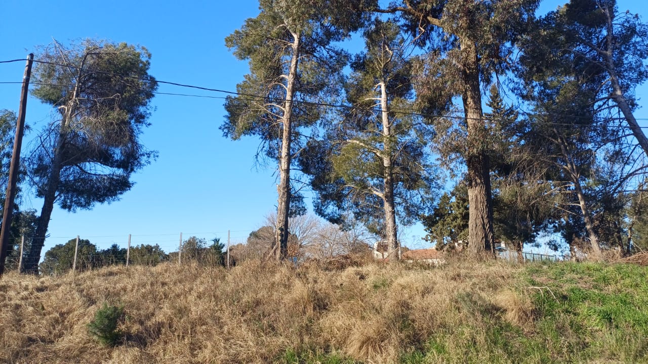 Paul Harris 2468 (2)