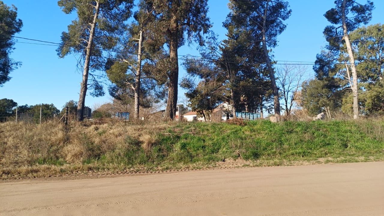 Paul Harris 2468 (3)