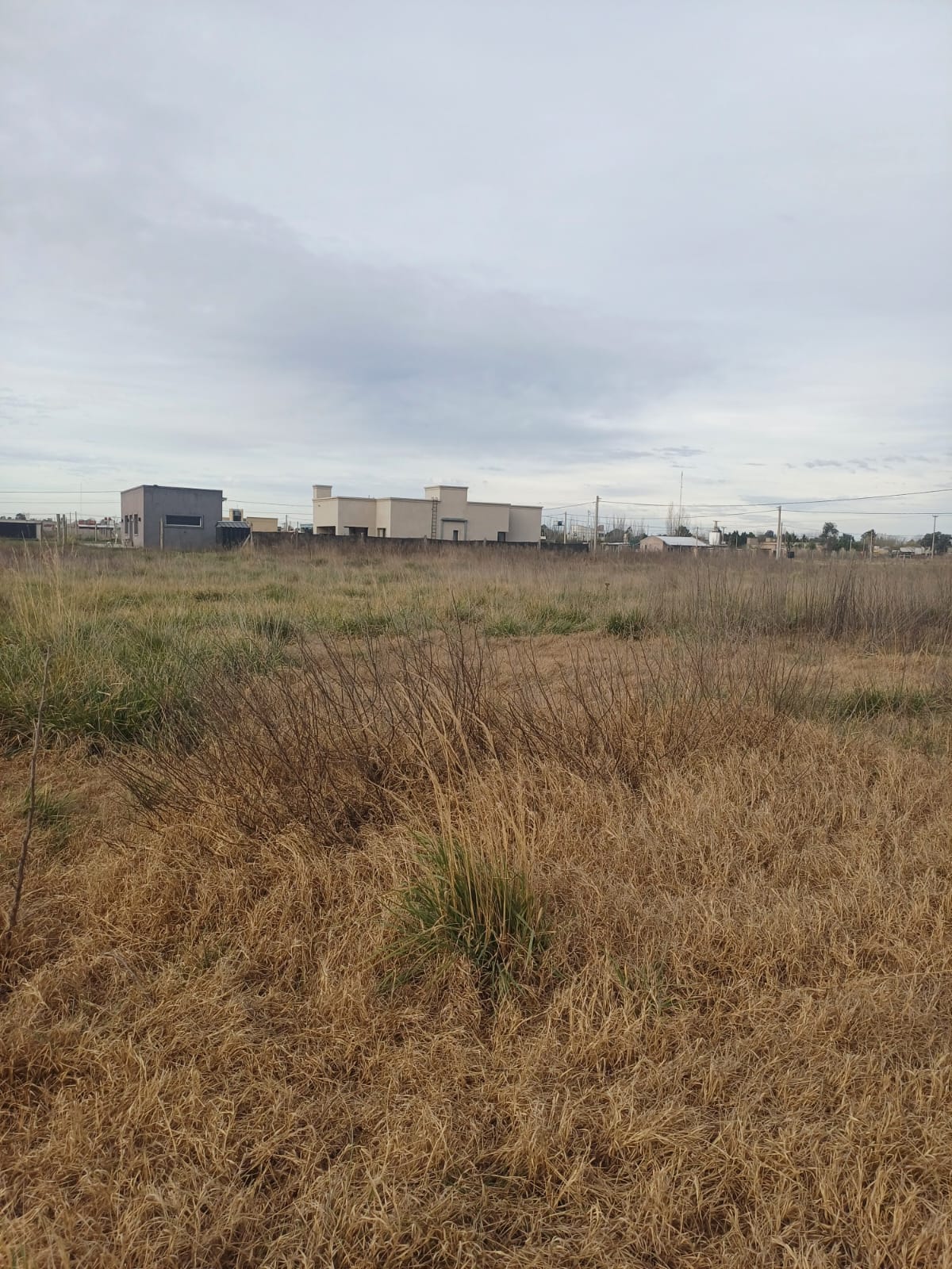 balbin e inocencia suárez (1)