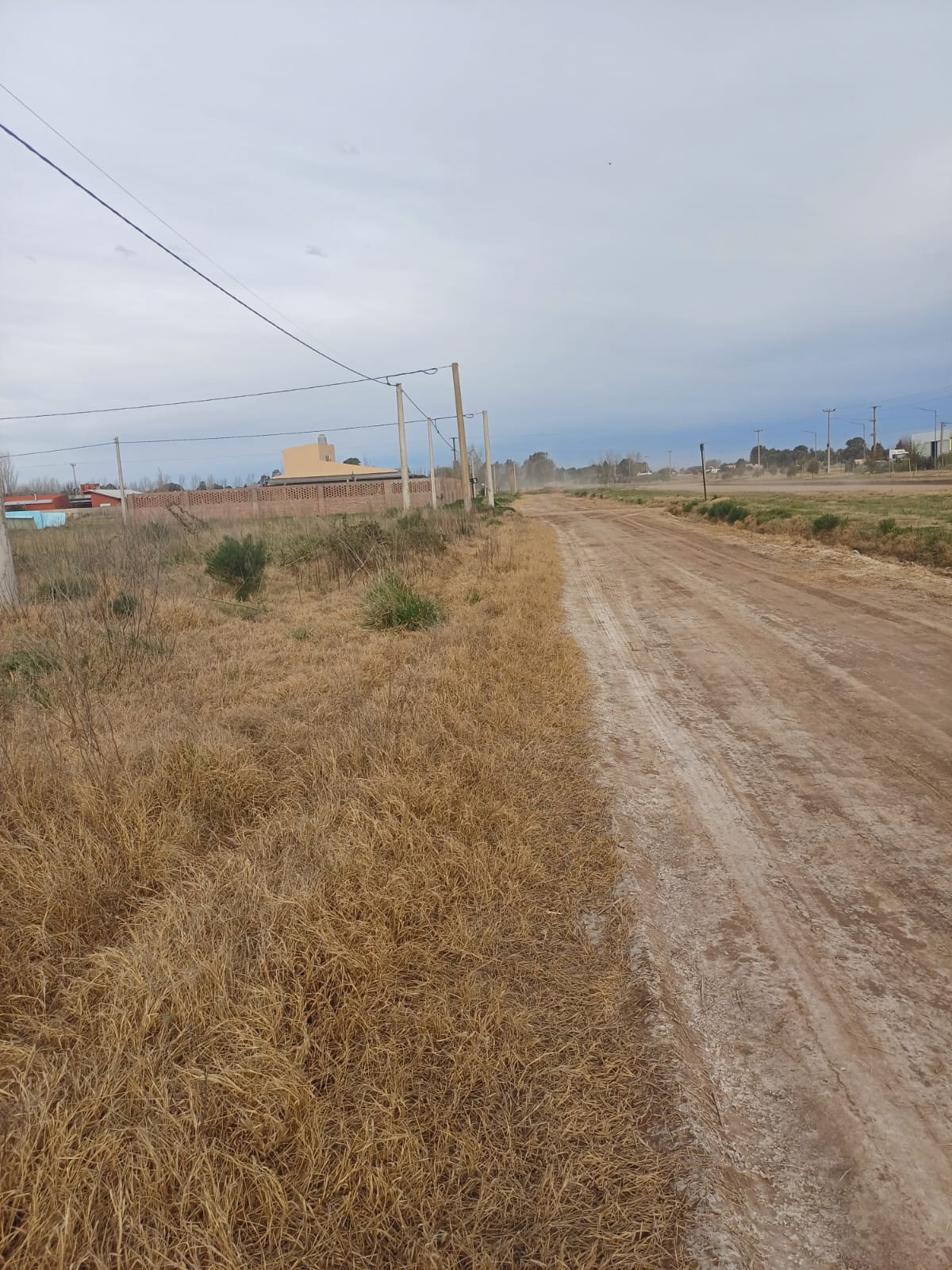 balbin e inocencia suárez (2)