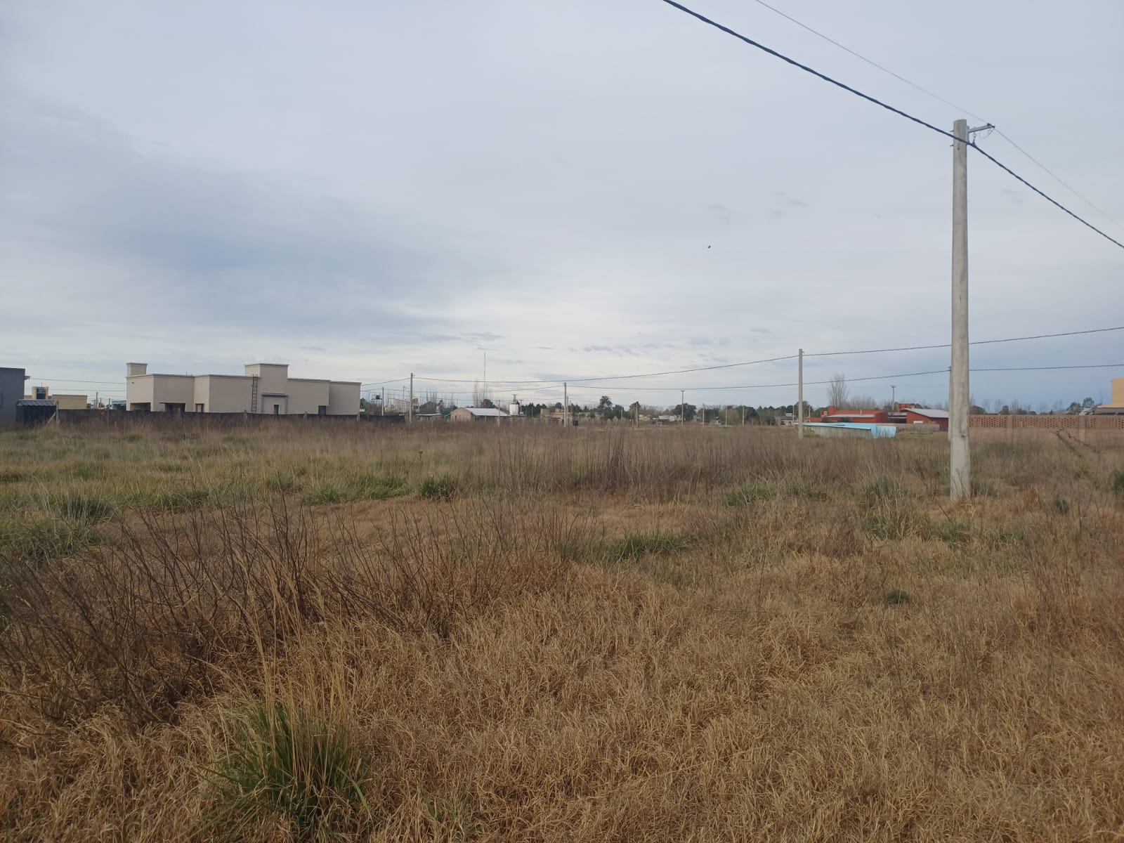 balbin e inocencia suárez (3)