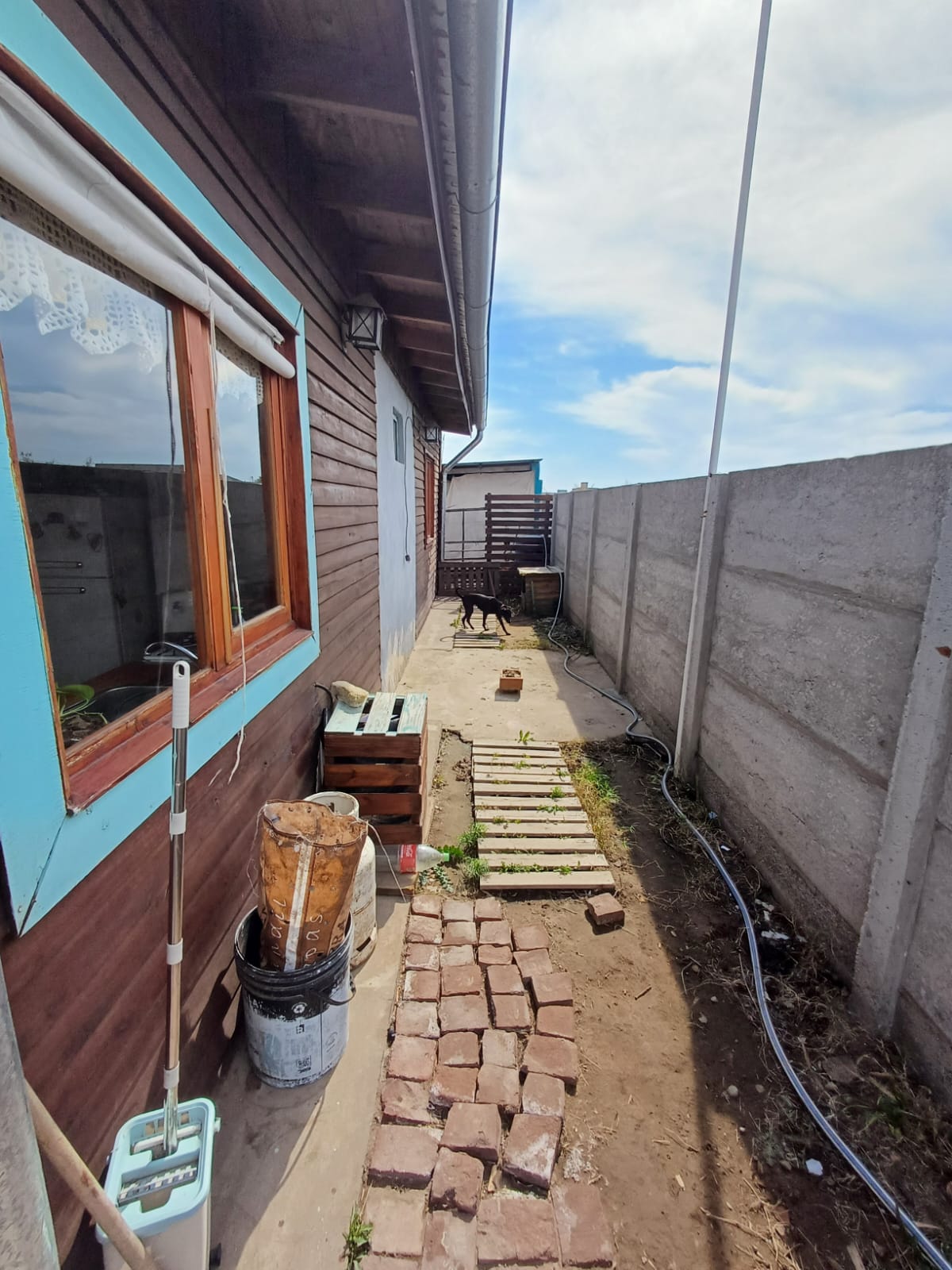 WhatsApp Image 2025-08-28 at 8.35.09 PM (3)