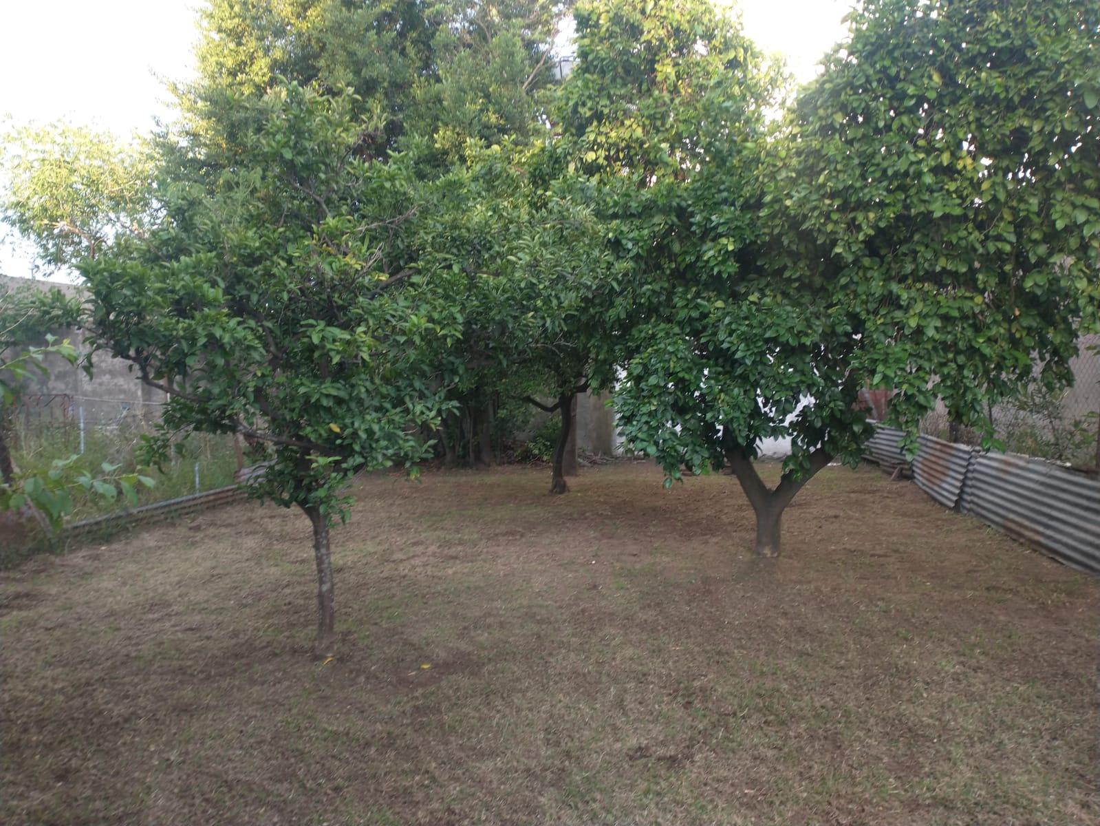 WhatsApp Image 2025-11-26 at 11.06.52 AM (1)