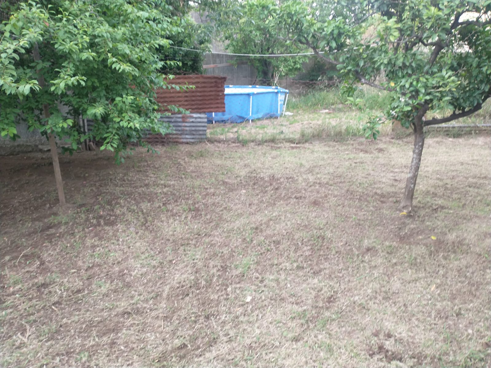 WhatsApp Image 2025-11-26 at 11.06.52 AM