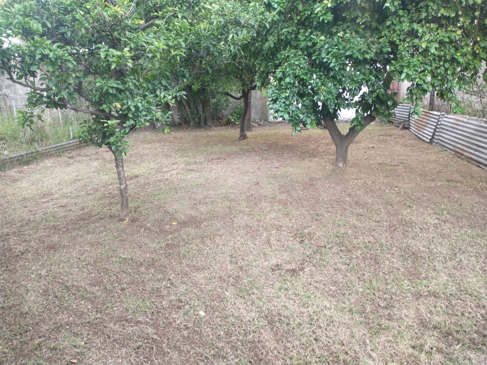 WhatsApp Image 2025-11-26 at 11.06.53 AM