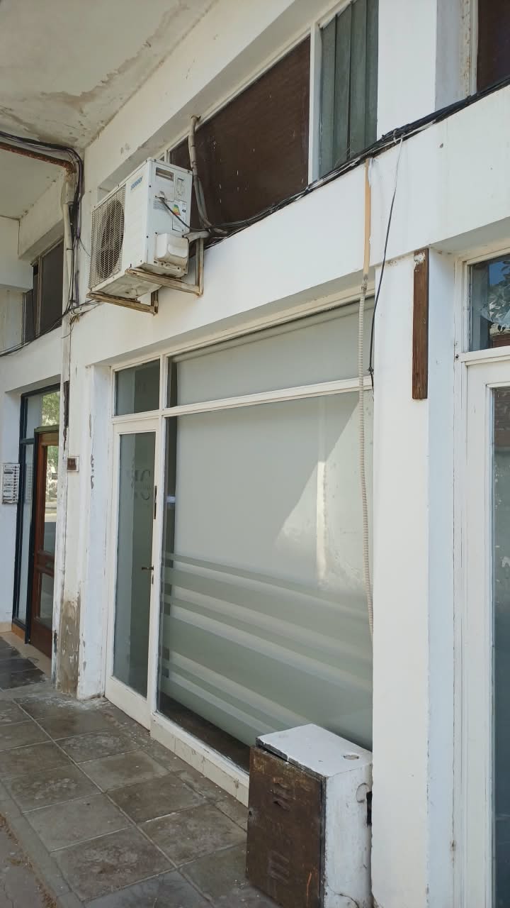 tribunales-locales (6)